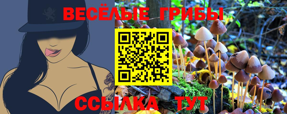 Псилоцибиновые грибы MAGIC MUSHROOMS  Вход с VPN  Якутск 